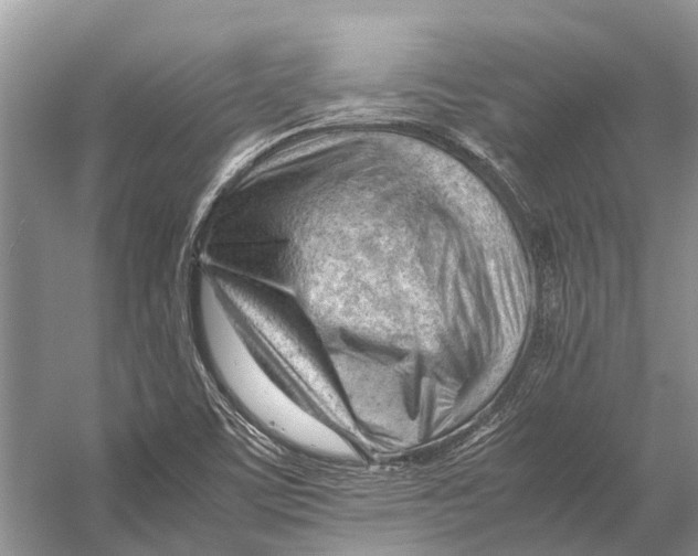 X0000053151459200508081358