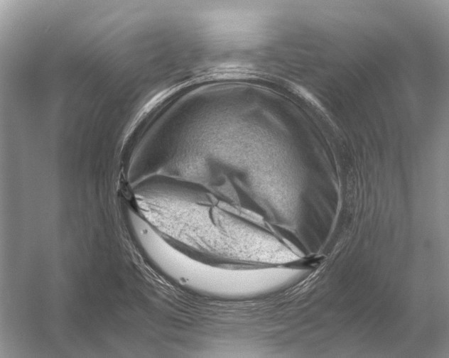 X0000053151461200508081358