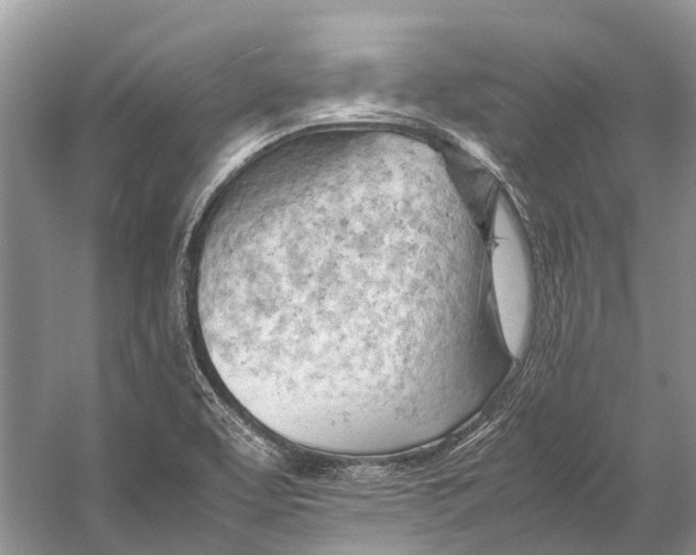 X0000053151463200508081358