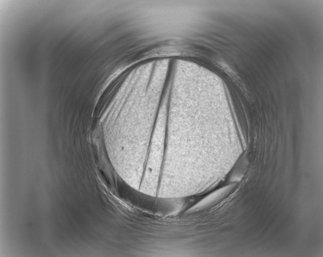 X0000053151465200508081358