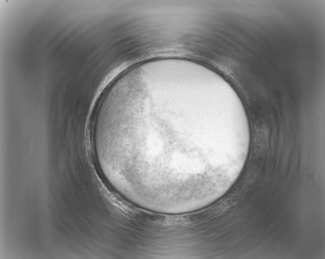 X0000053151466200508081358