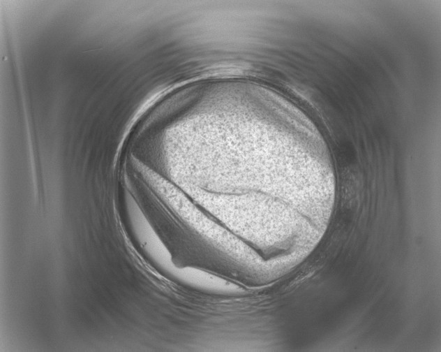 X0000053151467200508081358