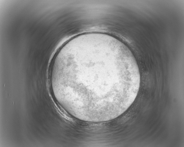 X0000053151470200508081357