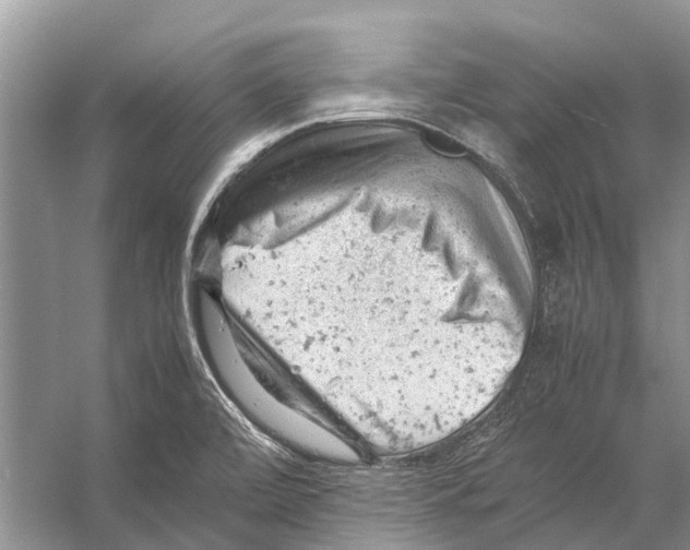 X0000053151472200508081357