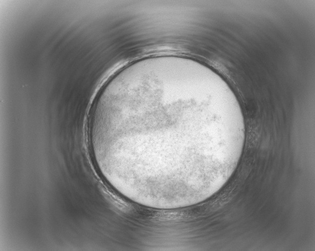 X0000053151474200508081357