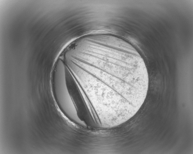 X0000053151476200508081357