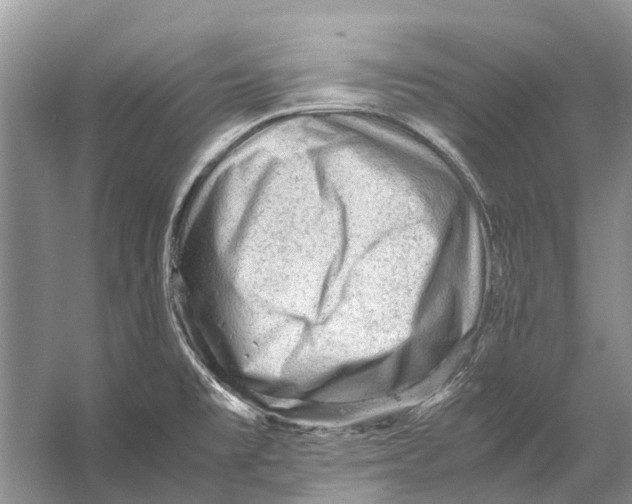 X0000053151477200508081357