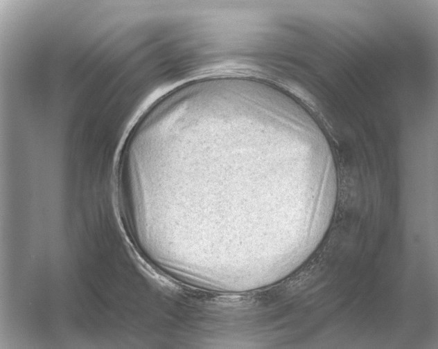 X0000053151478200508081357