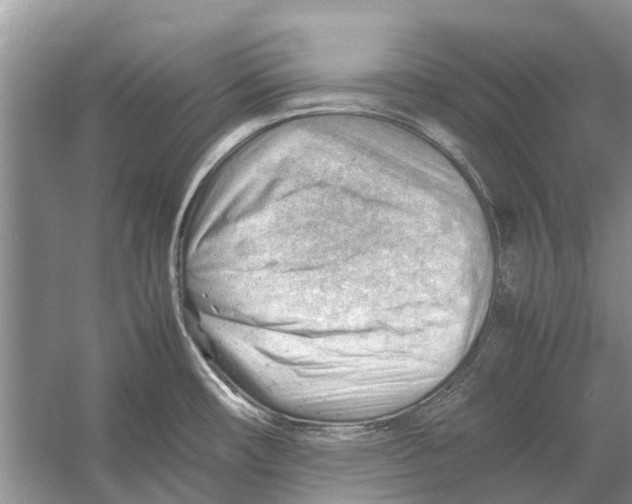 X0000053151482200508081357