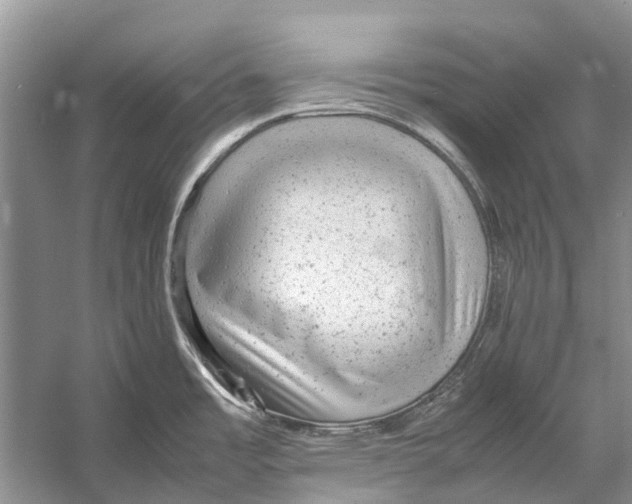 X0000053151485200508081357