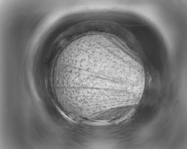 X0000053151487200508081357