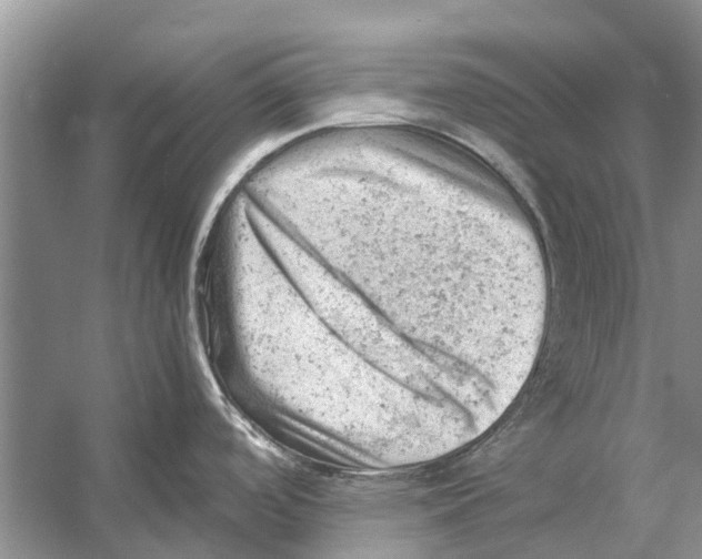 X0000053151488200508081357