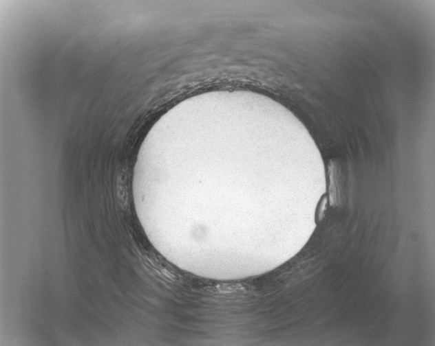 X0000053151491200508081356