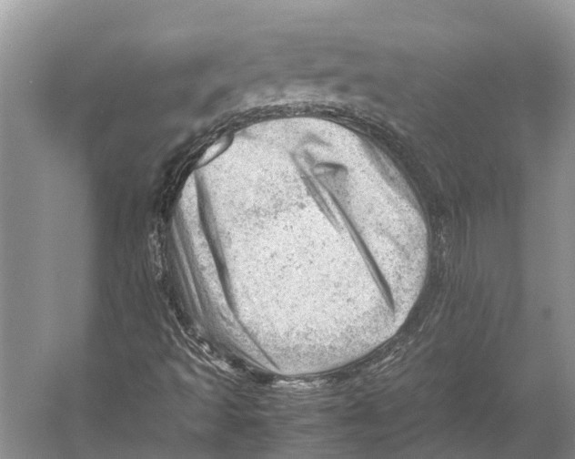 X0000053151493200508081356