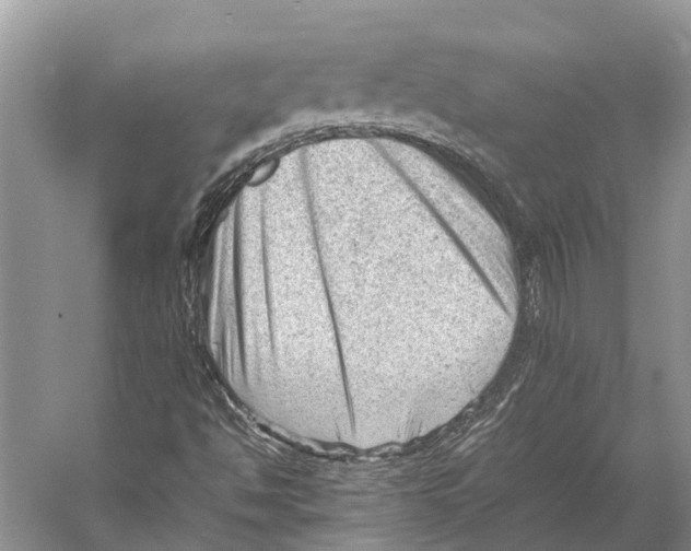 X0000053151494200508081356