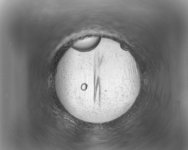 X0000053151495200508081356