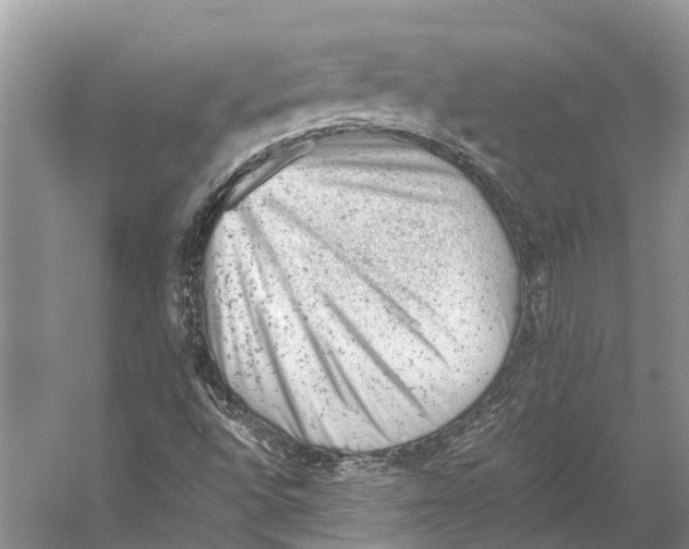 X0000053151496200508081356