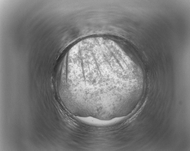 X0000053151497200508081356