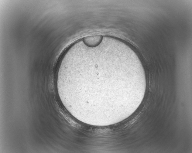 X0000053151498200508081357