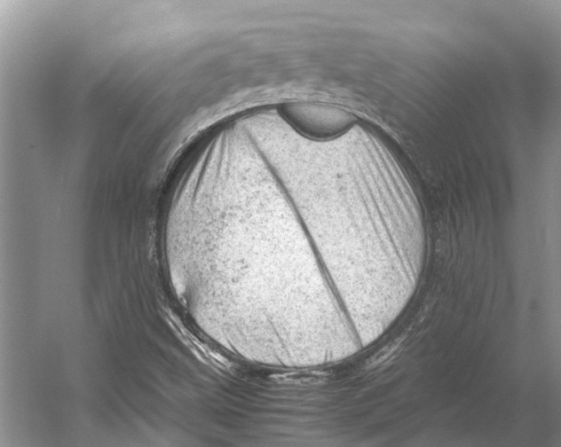 X0000053151499200508081357