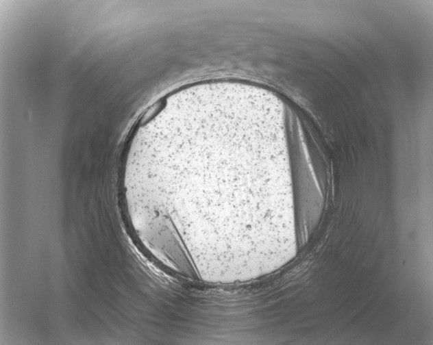 X0000053151500200508081357