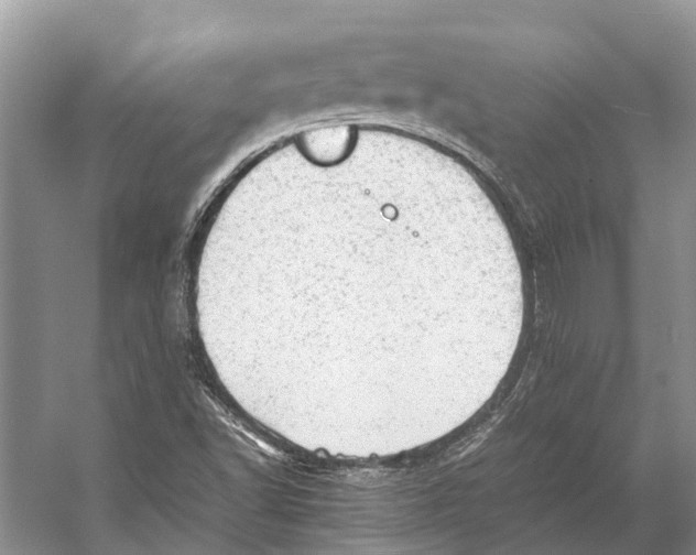 X0000053151502200508081357