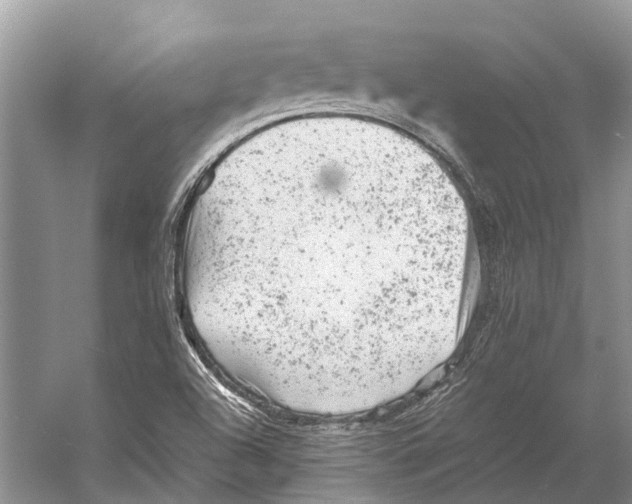 X0000053151504200508081357