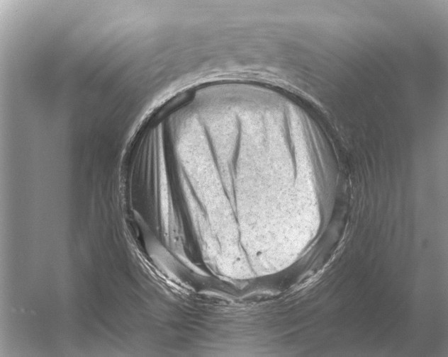 X0000053151506200508081357