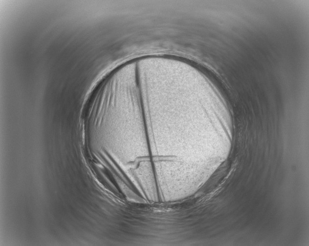 X0000053151509200508081357