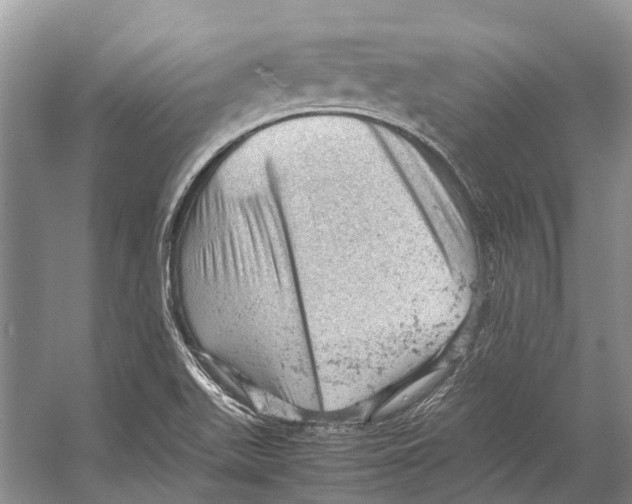 X0000053151511200508081357