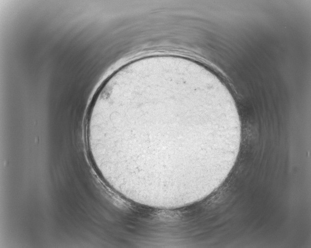 X0000053151514200508081357