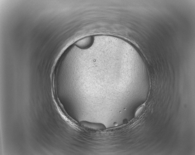 X0000053151515200508081357