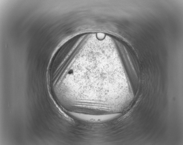 X0000053151517200508081357