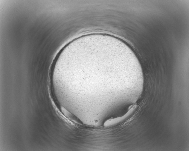 X0000053151518200508081357