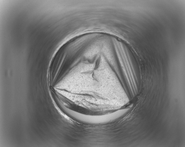 X0000053151519200508081357