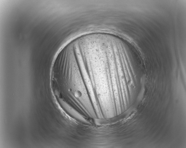 X0000053151520200508081357