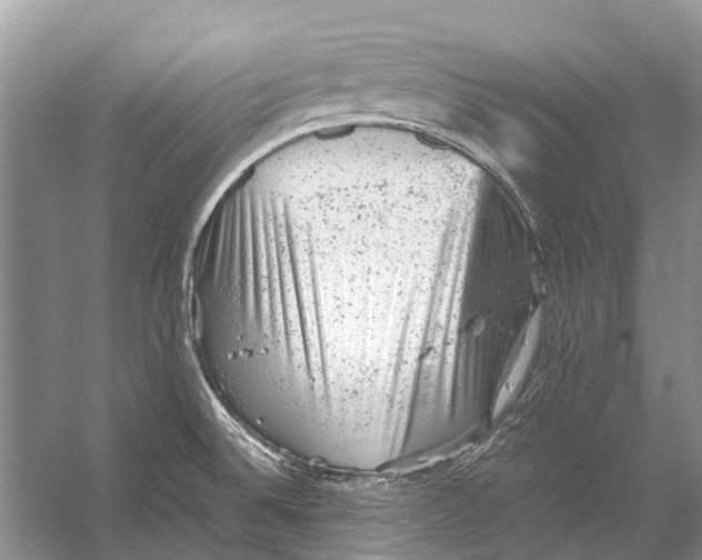 X0000053151524200508081357