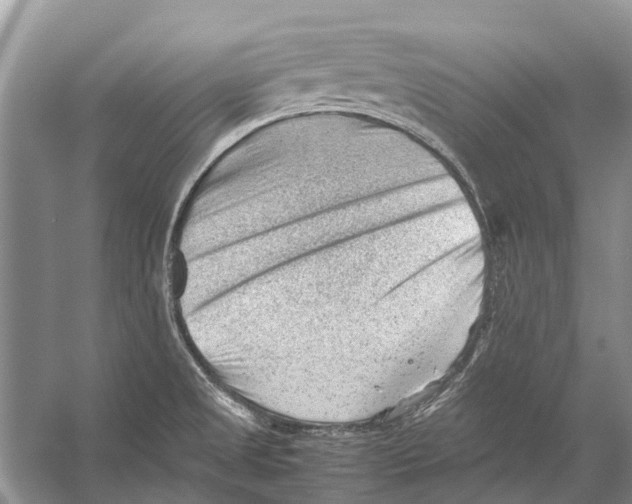 X0000053151525200508081357