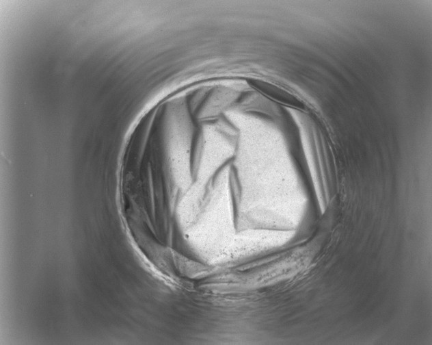 X0000053151528200508081357