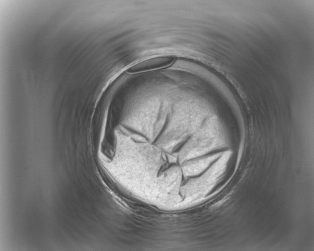 X0000053151529200508081357