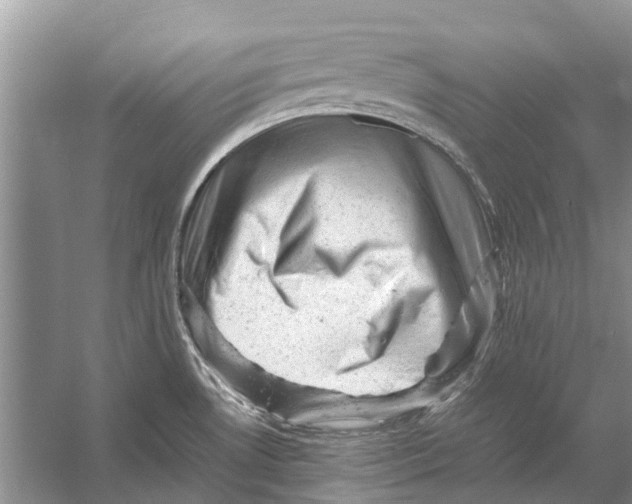 X0000053151530200508081357