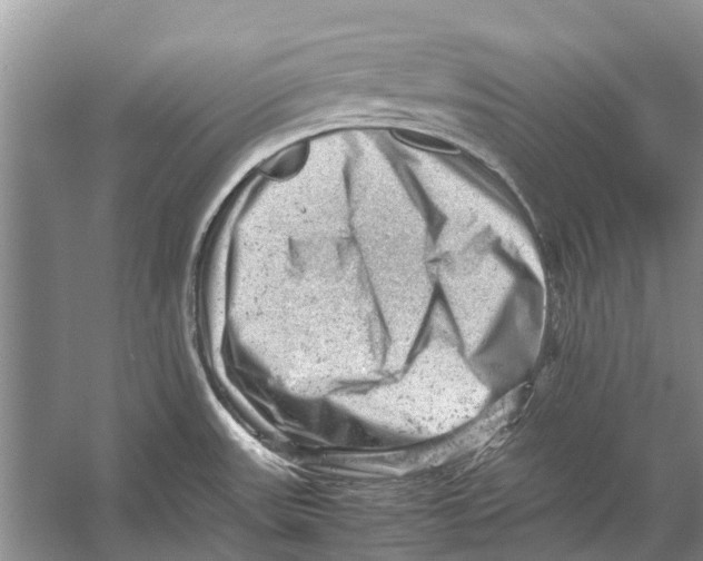 X0000053151531200508081357