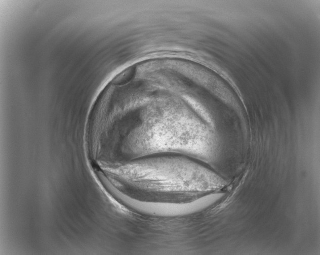 X0000053151533200508081357