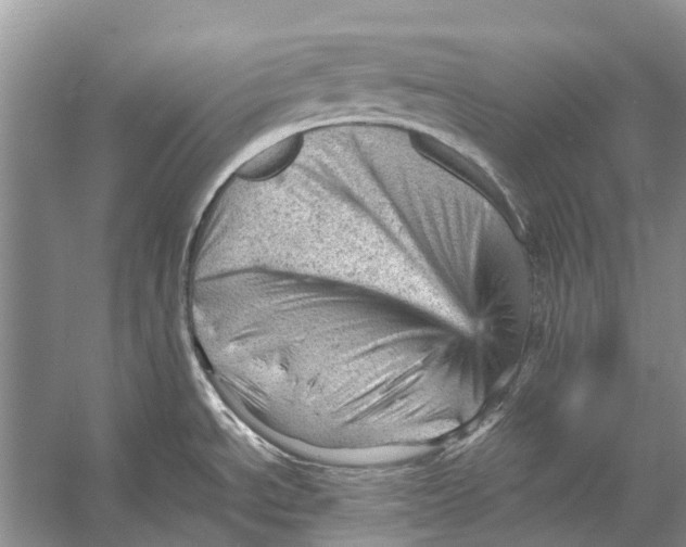 X0000053151534200508081357