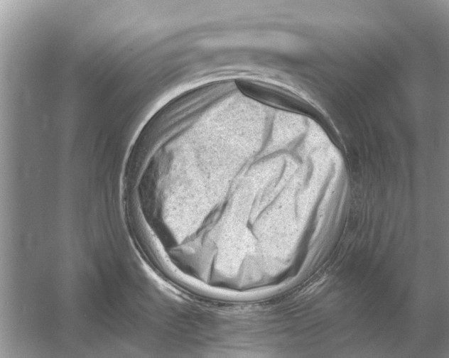 X0000053151535200508081357