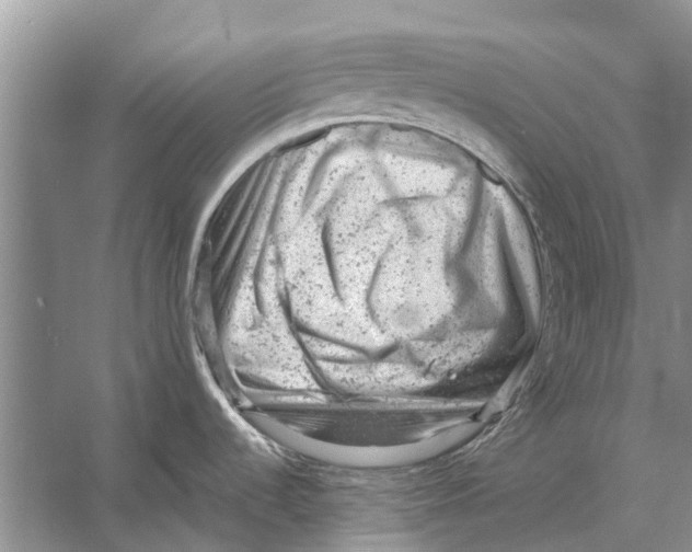 X0000053151536200508081357