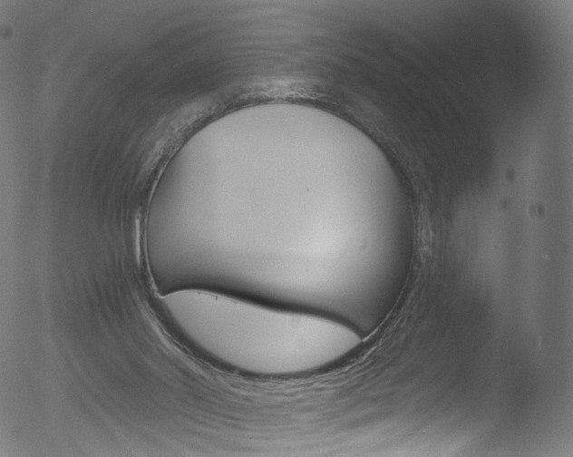 X0000053160014200507111128