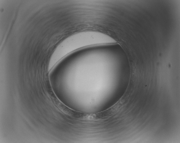 X0000053160080200507111127