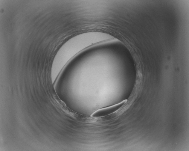 X0000053160096200507111127