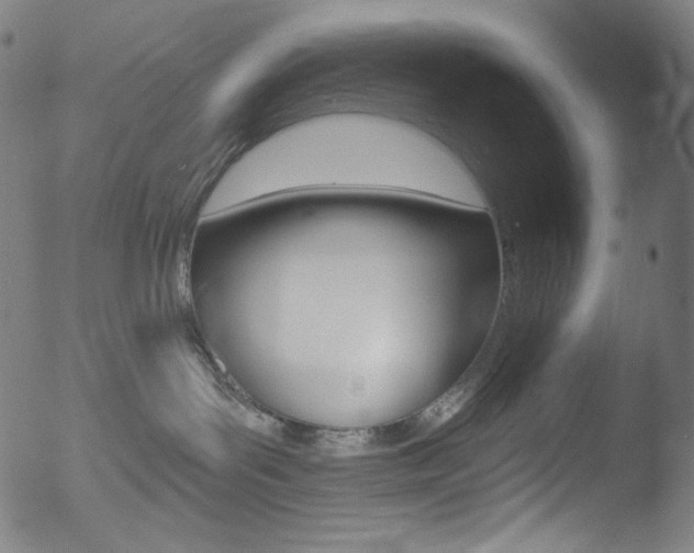 X0000053160143200507111125